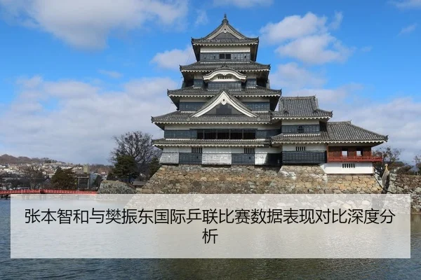 张本智和与樊振东国际乒联比赛数据表现对比深度分析