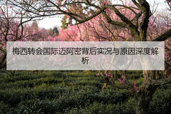 梅西转会国际迈阿密背后实况与原因深度解析